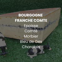 fromages_bourgogne